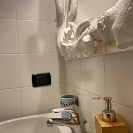 Bilocale Atelier In Centro Storico Appartamento Parma